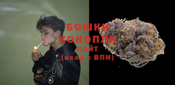 ешки Арсеньев