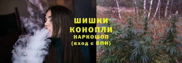 стаф Аркадак