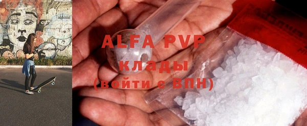 стаф Аркадак